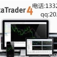 国汇科技 软件技术开发的领航者